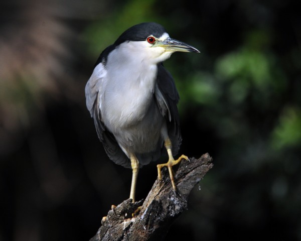 Image00075
