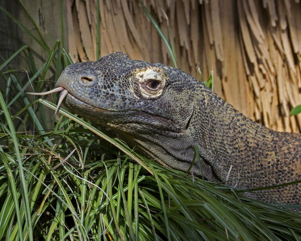 Image00102