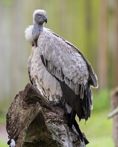 Image00104