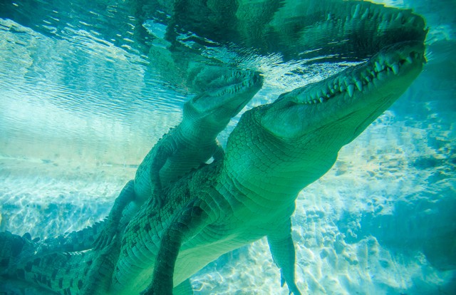 Image00109