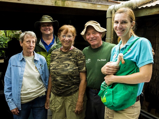 Spoonbill Banding 04282015Spoonbill Banding 0428150043