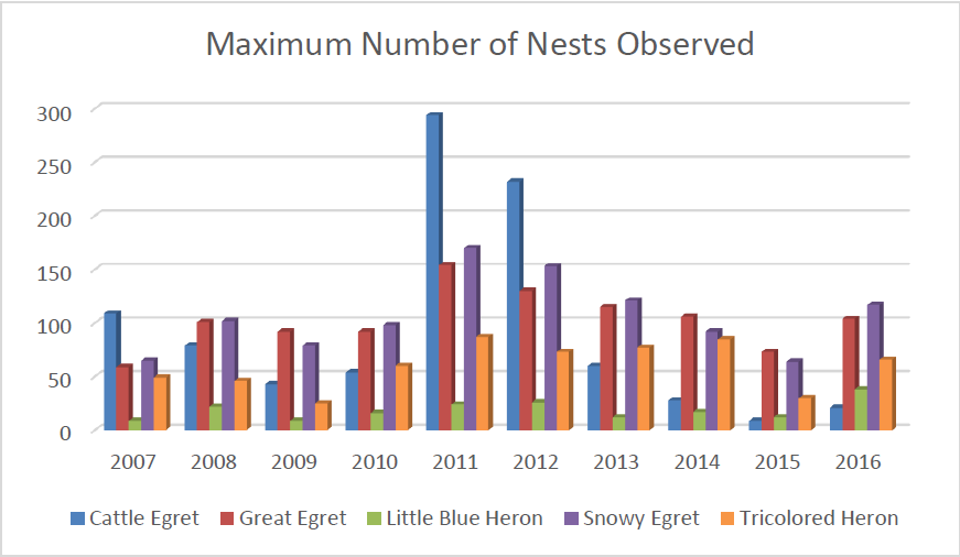 max-nest