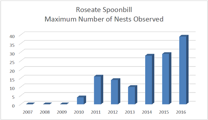 spoonie