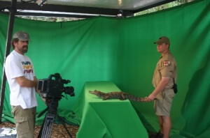 green screen 2