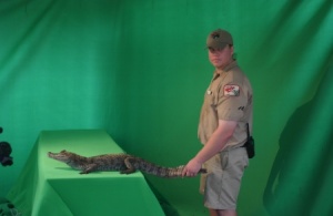 green screen 3