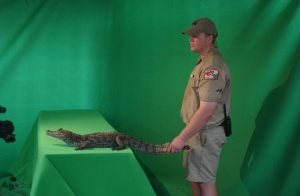 green screen 4