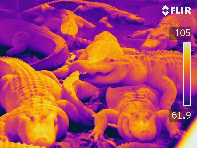 IR_1040