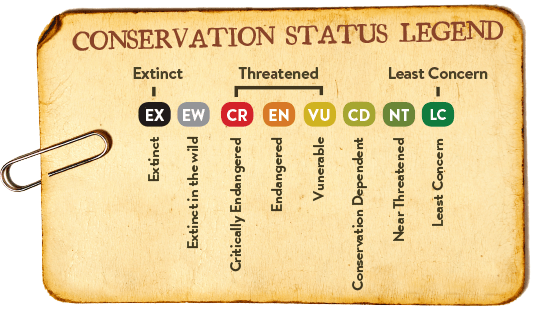 Conservation Status Legend