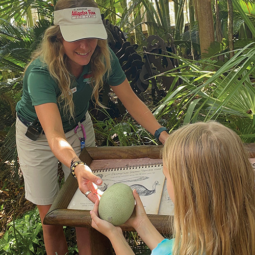 Behind the Scene Tour at the St. Augustine Alligator Farm