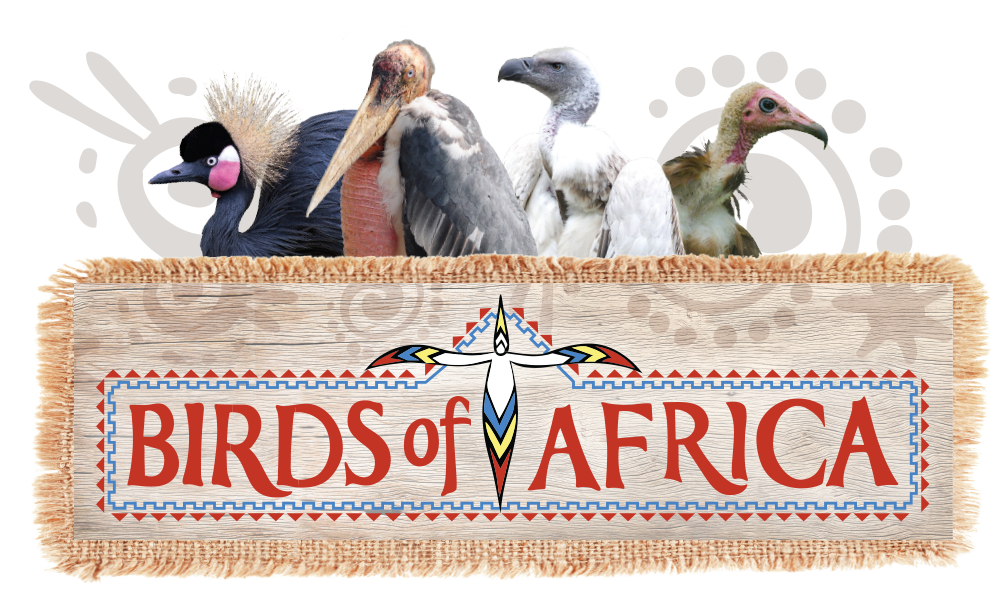 Birds of Africa