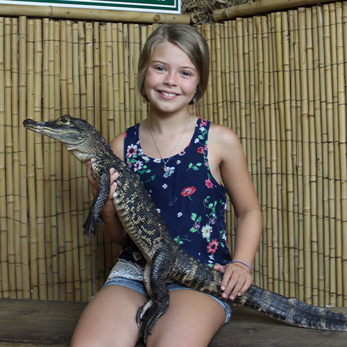 Birthday Parties at the St. Augustine Alligator Farm