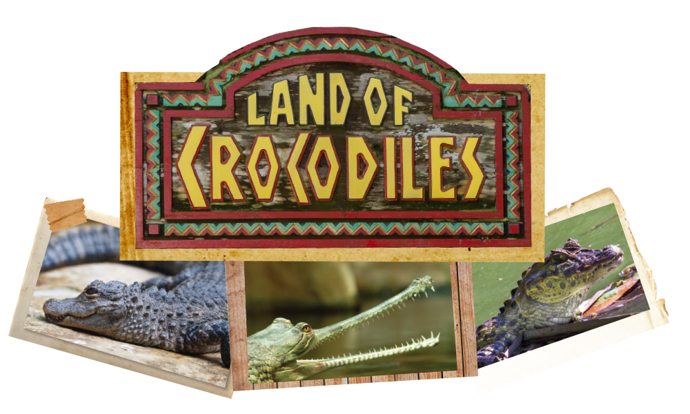 Land of Crocodiles