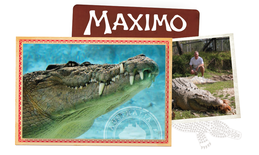Maximo