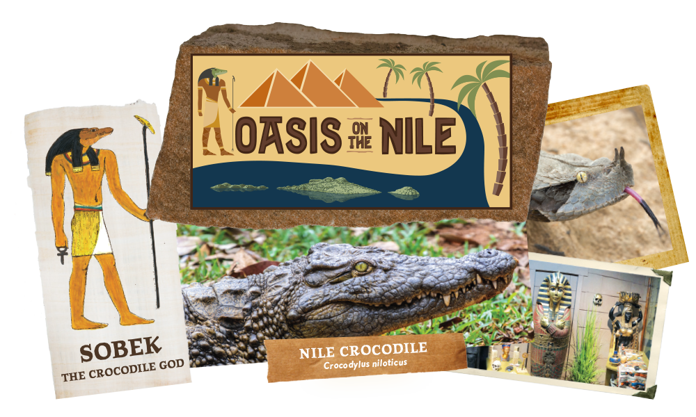 Oasis on the Nile