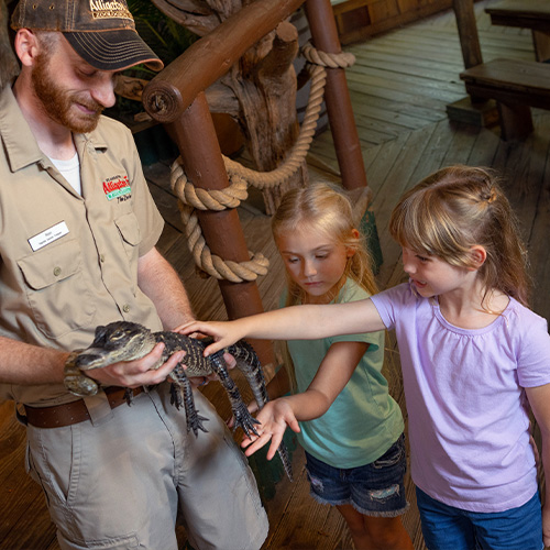 St. Augustine Alligator Farm Homeschool Days