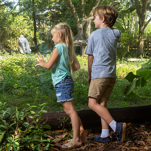 Zoo Camp at the St. Augustine Alligator Farm