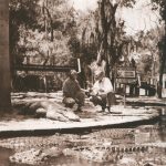Radio interview in the alligator lagoon.