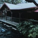 Continuing our missions of education and conservation, the Anastasia Conservation Center opened in 2001.