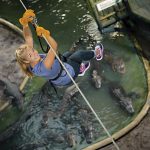 Crocodile Crossing is the Alligator Farm’s zip line, which opened in 2011.