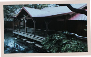 2001 Anastasia Island Conservation Center
