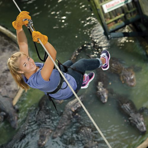 Crocodile Crossing Zip Line 2