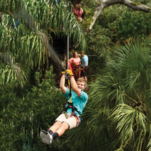 Crocodile Crossing Zip Line 4