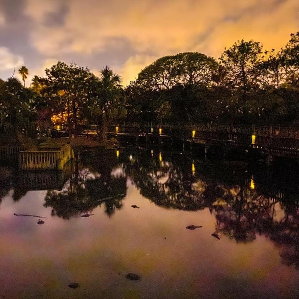 Special Events at the St. Augustine Alligator Farm
