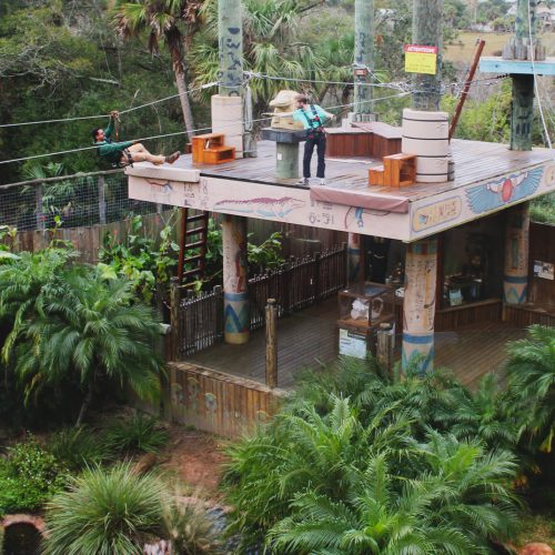 Crocodile Crossing Zip Line tandem zip