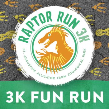 Raptor Run Home