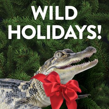 holiday hours
