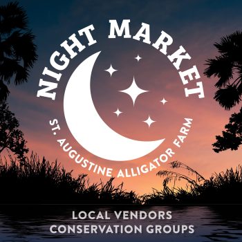 2025 Night Market