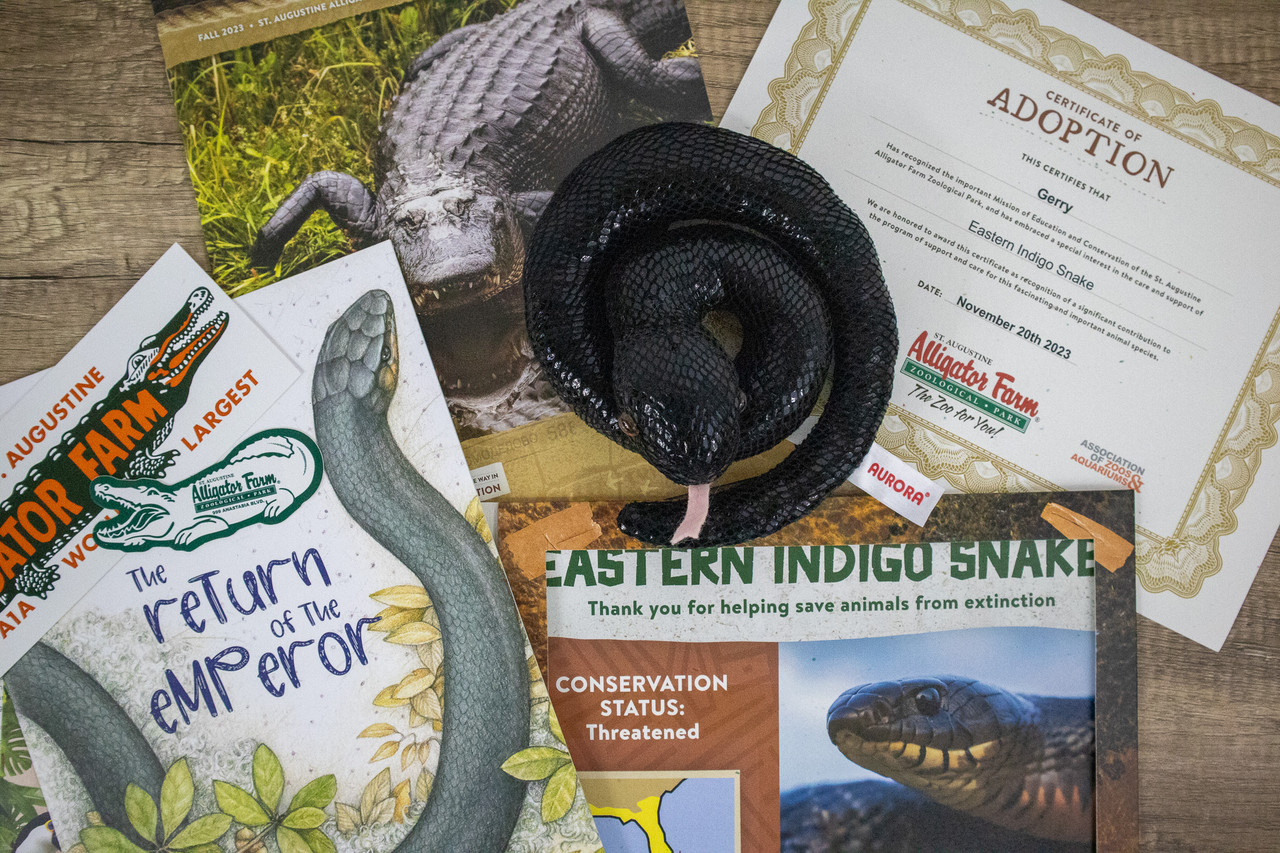 Adopt an Eastern Indigo Snake