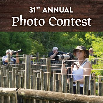 Annual Photo Contest