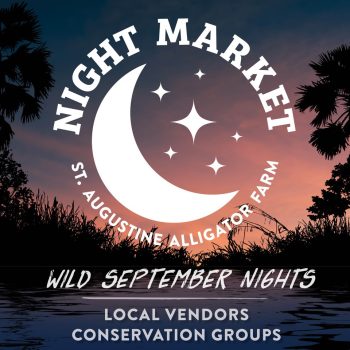 Night Market - Wild September Nights